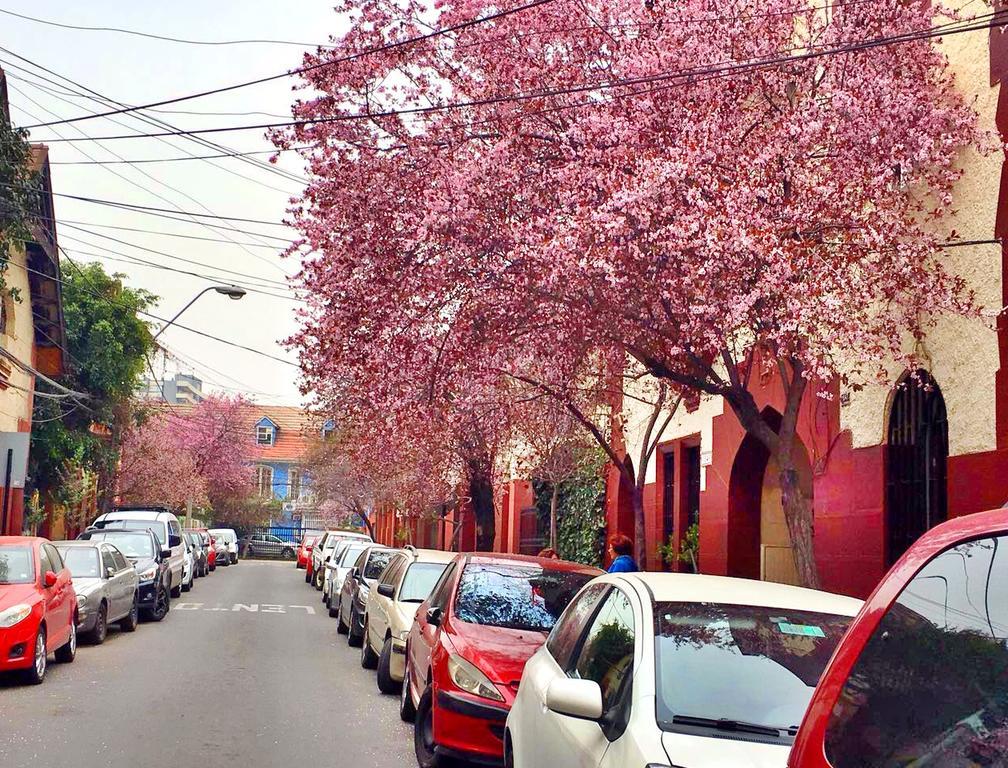 Tralkan B&B Santiago Kültér fotó