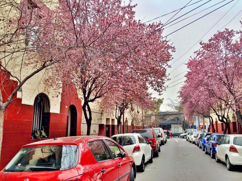 Tralkan B&B Santiago Kültér fotó